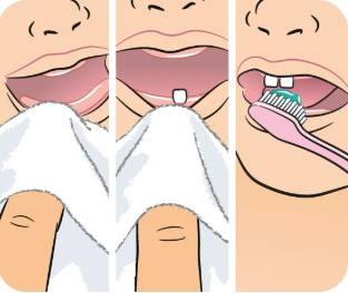 Graphic explanation of how to clean baby's gums.