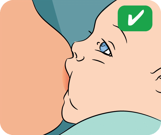 How to breastfeed: in pictures