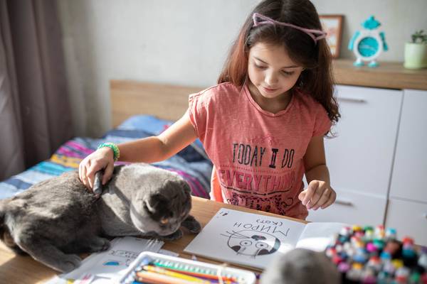 Girls studying next to her cat.