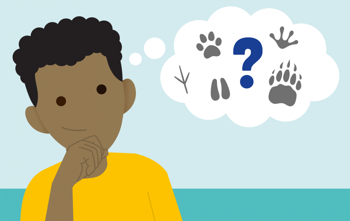 Illustration of Animal name game