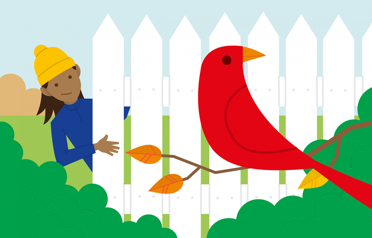 Illustration of Animal spotting