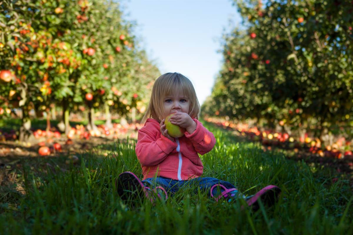 toddler playing outside food fruit