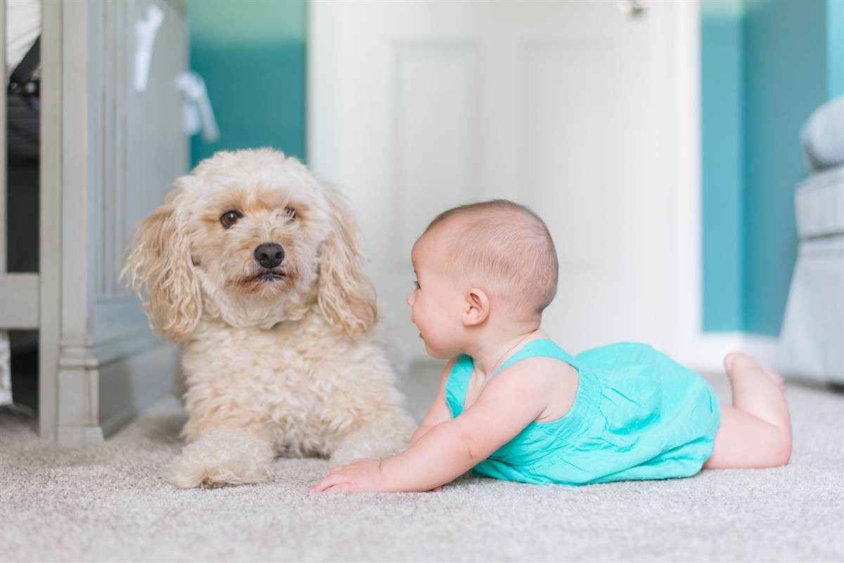 babie (5 m.o.) on tummy w dog