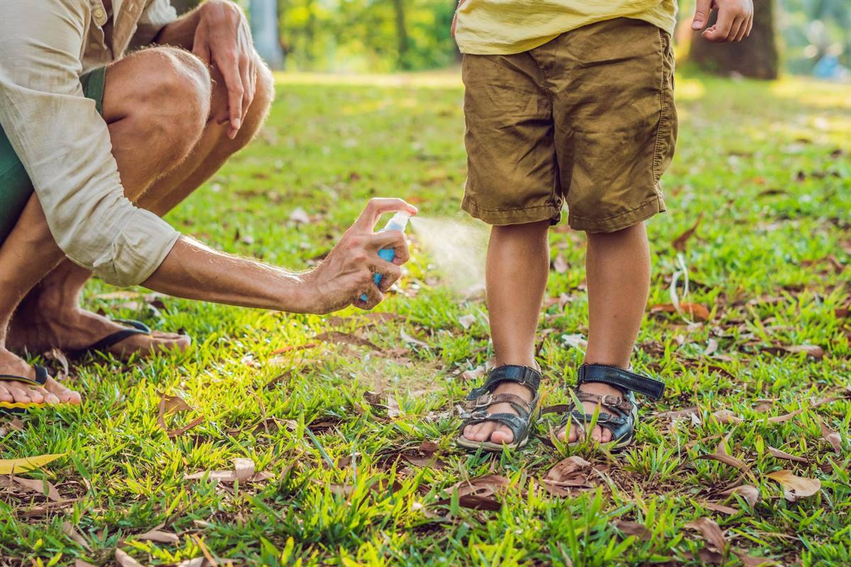 An adult applying a spray protection against insect bites over the leg of the child 