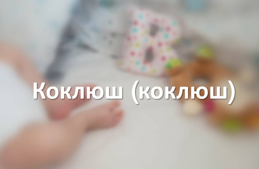 Коклюш (коклюш)