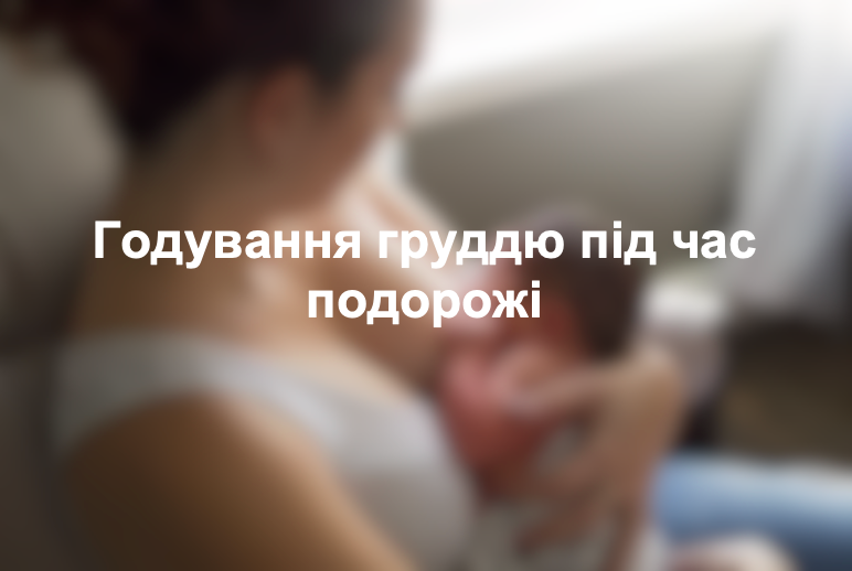 Годування груддю під час подорожі