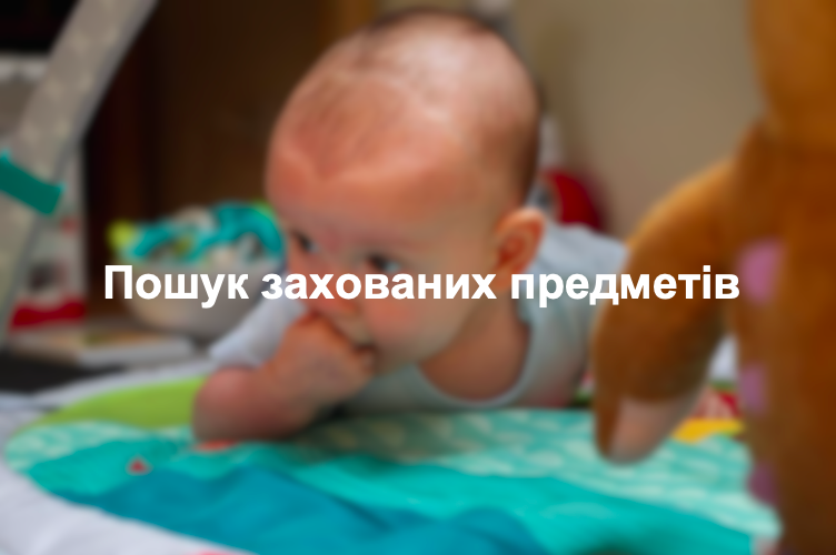 Пошук захованих предметів