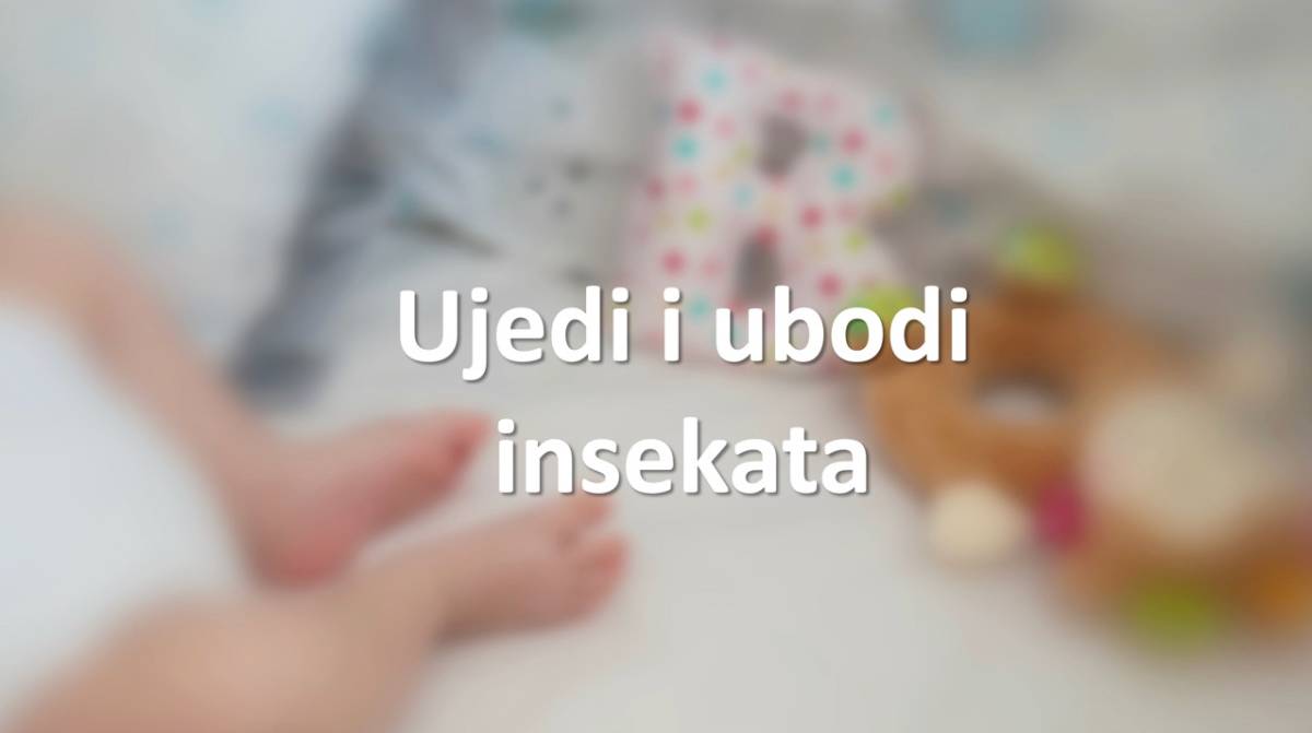 Ujedi i ubodi insekata