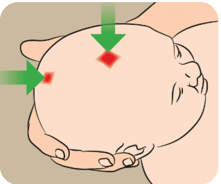 new born head