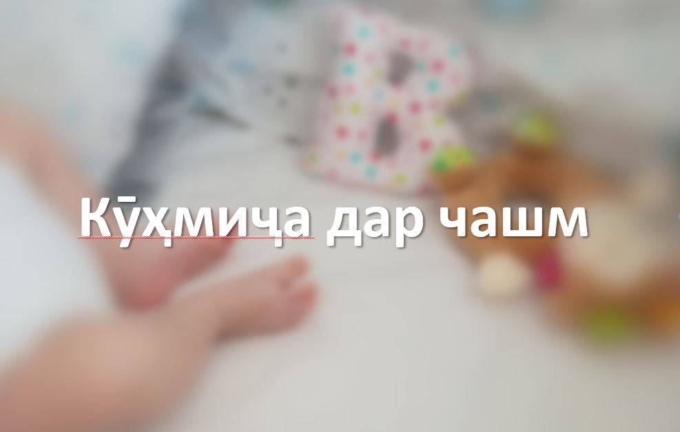 Кӯҳмиҷа дар чамш