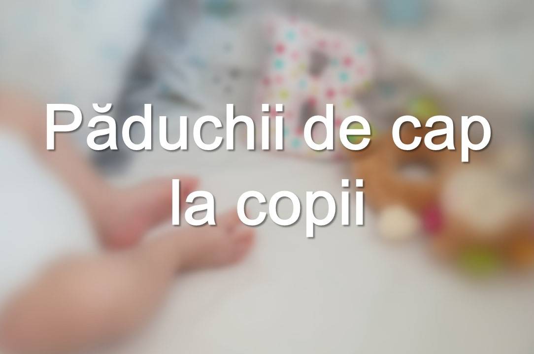 Păduchii de cap  la copii