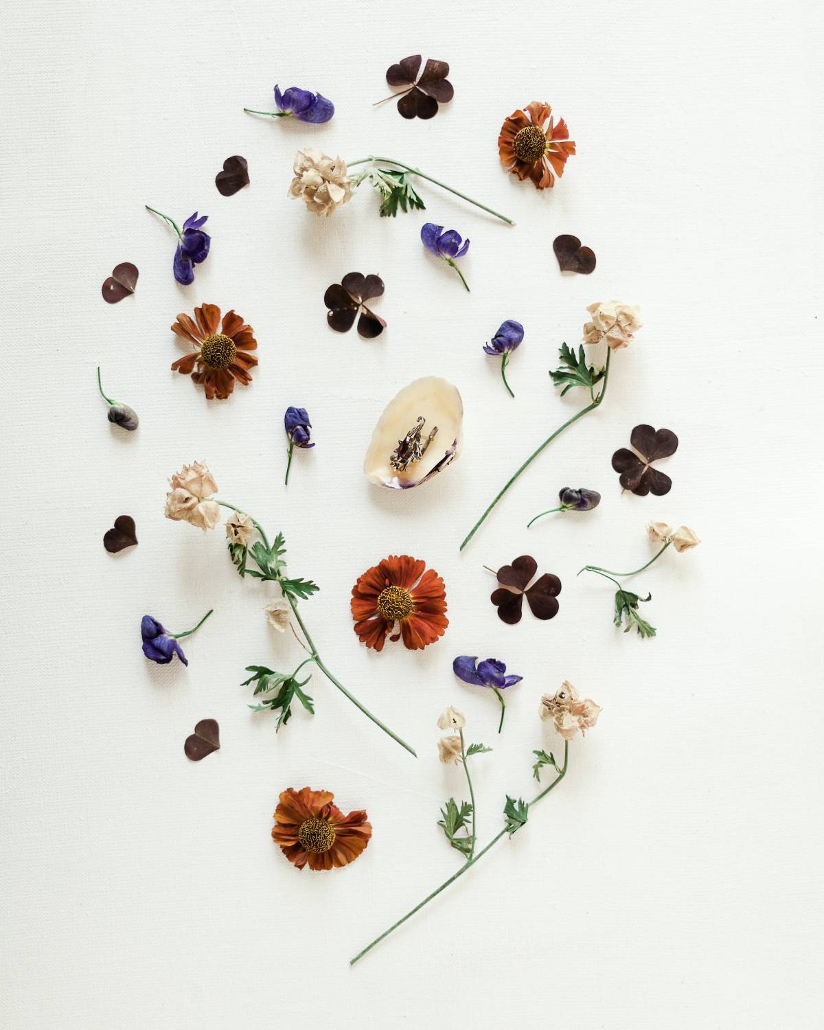 herbarium