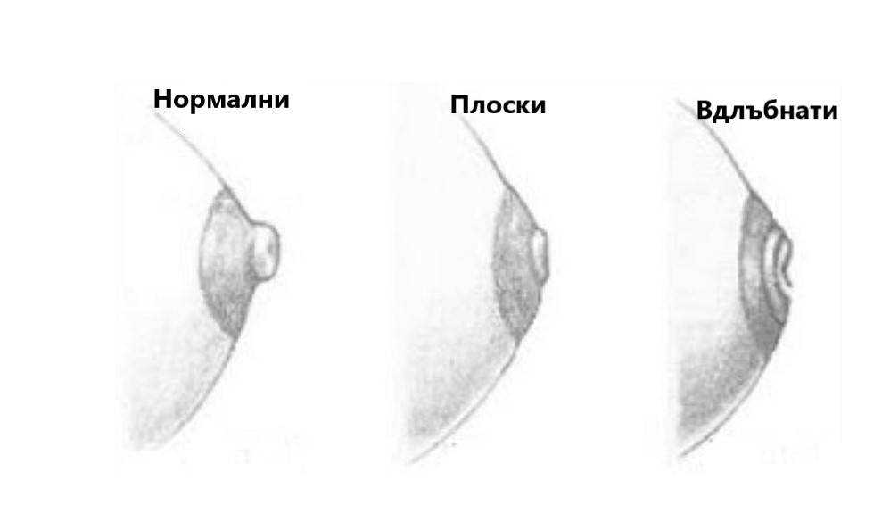 Плоски или вдлъбнати зърна