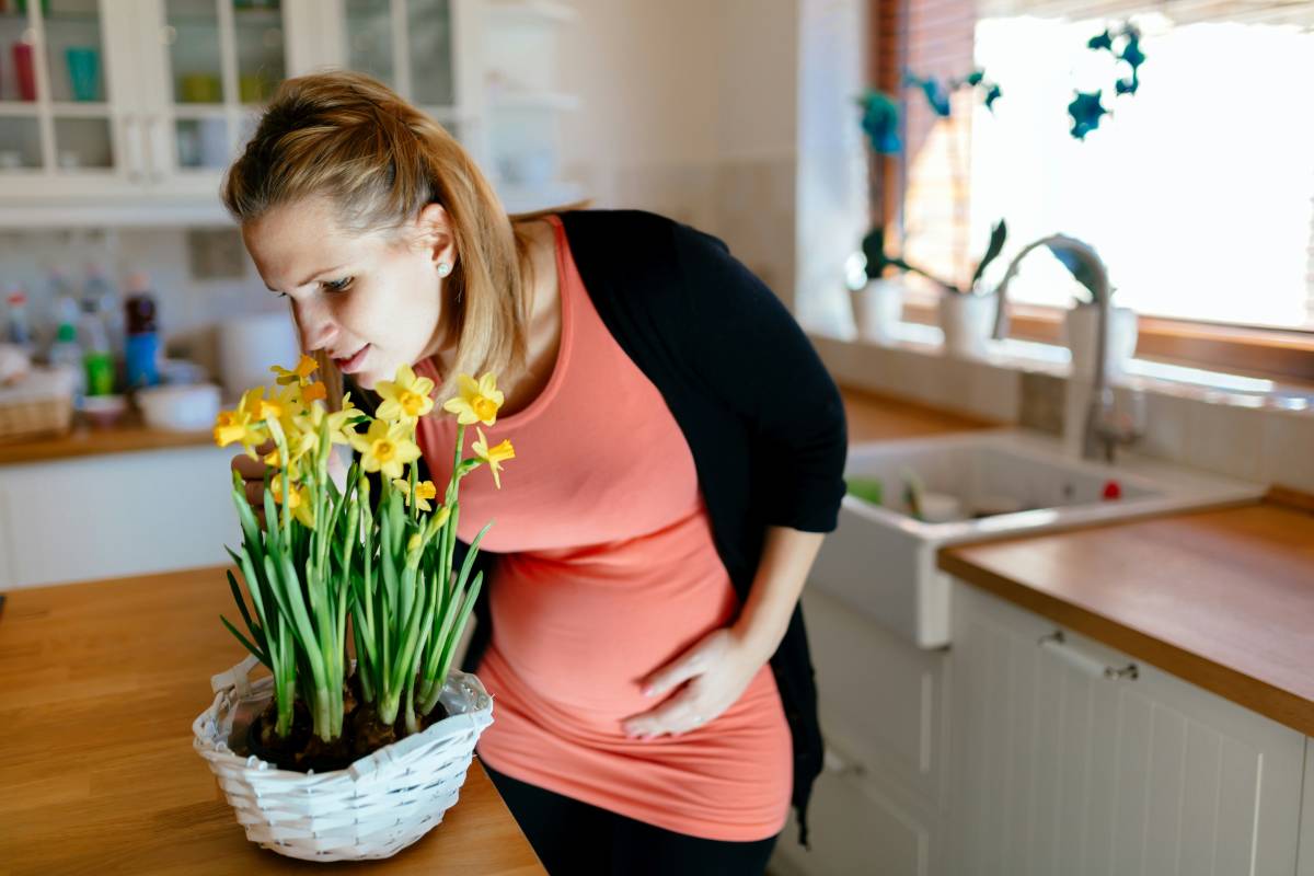 Stress during pregnancy
