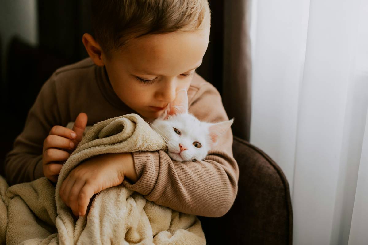 Boy holding cat