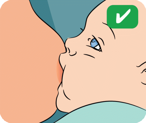 How to breastfeed: in pictures