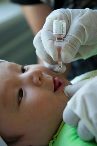 A young child receives polio vaccine.
