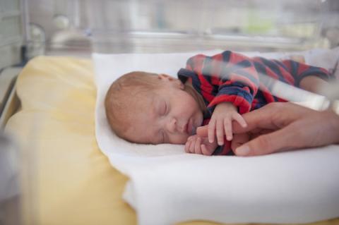 Newborn baby sleeping.