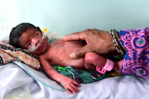 A mother touching her newborn premature baby