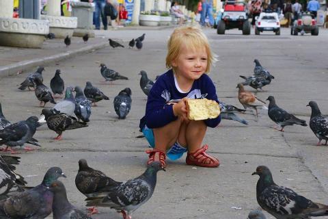 Bites of birds and rodents
