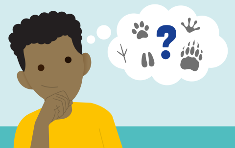 Illustration of Animal name game