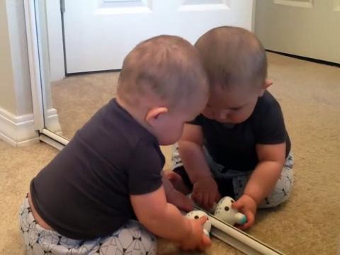 A baby sees him- or helself in the mirrow