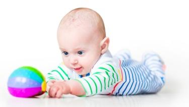 A baby lying on his or her tummy is trying to reach the toy