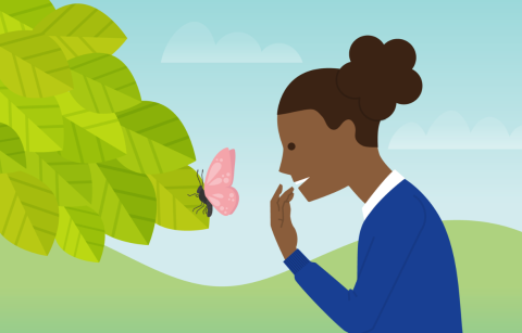 cartoon girl looking at a butterfly 