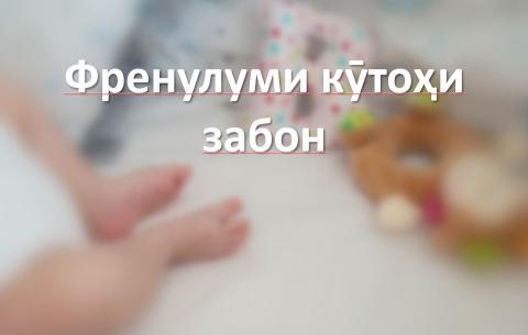 Френулуми кӯтоҳи забон