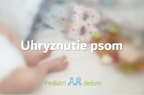 Čo robiť pri pohryzení psom