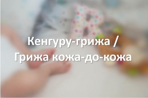 Кенгуру-грижа