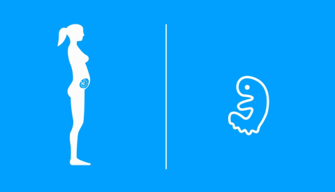Pregnancy Third Month