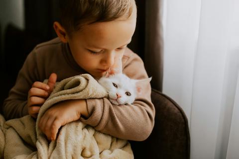 Boy holding cat