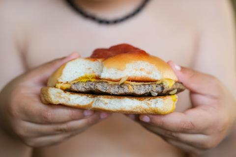 Person holding cheeseburger