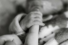Parent holding hand of premature baby